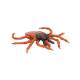 3B Scientific R50 Castor-Bean Tick Model (Ixodes Ricinus)