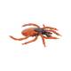 3B Scientific R50 Castor-Bean Tick Model (Ixodes Ricinus)