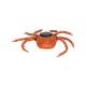 3B Scientific R50 Castor-Bean Tick Model (Ixodes Ricinus)