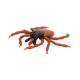 3B Scientific R50 Castor-Bean Tick Model (Ixodes Ricinus)