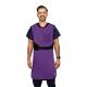 Phillips Safety RA-FFA-BACK Flexiback Frontal Apron with Back Support, Lead Free - PVC EasyClean Fabric, Purple with Black Trim (Other Items Shown are Not Included)