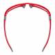 Model 808 Radiation Glasses - Red
