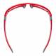 Model 808 Radiation Glasses - Red