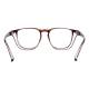 Phillips Safety Plastic Frame Radiation Glasses Model SQ5062 - Brown (Back View)