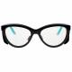 Plastic Frame Radiation Safety Glasses Model T9730 - Black with Teal