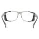 Phillips Safety Plastic Frame Radiation Glasses Model TP395 - Gray/Blue (Back View)