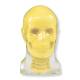 RSD RS-108TCB Head Phantom with Cadaver Bones, Transparent - With Cervical Spine