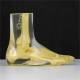 RS-116T Transparent Foot Ankle Phantom