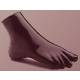 RSD Anthropomorphic Plantar Flexion Ankle Phantom