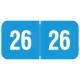 Arden Label RY3R-26 Reynolds & Reynolds Compatible RY3R Series 2026 Year Labels for Ringbook - Size 3/4" H x 1 1/2" W