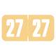 Arden Label SG3Y-27 Safeguard Compatible SG3Y Series 2027 Year Labels - Size 3/4" H x 1 1/2" W