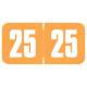 Arden Label SGYM-25-T4 Safeguard Compatible SGYM Series 2025 Year Labels - Size 3/4" H x 1 1/2" W
