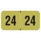 Arden Label SJYM-24-T4 2024 Year Labels - Smead ETYJ Compatible SJYM Series - Size 3/4" H x 1 1/2" W
