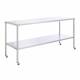 Stainless Steel Instrument Table with Shelf, 24" W x 60" L Model SS8004