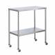 Stainless Steel Instrument Table with Shelf, 20" W x 48" L Model SS8014