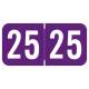 Arden Label STYM-25-T4 Sav-Tyme Compatible STYM Series 2025 Year Labels - Size 3/4" H x 1 1/2" W