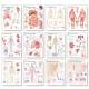 The Complete Body System Chart Set