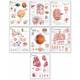 Body Organ Wall Chart Set