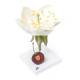 3B Scientific T210191 Cherry Blossom with Fruit (Prunus Avium) Model