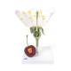 3B Scientific T210191 Cherry Blossom with Fruit (Prunus Avium) Model
