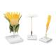 3B Scientific T21022 Dandelion (Taraxacum Officinale) Model