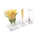 3B Scientific T21022 Dandelion (Taraxacum Officinale) Model