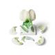 3B Scientific T21026 Pea Blossom (Pisum Sativum) Model - 12-Part