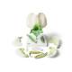 3B Scientific T21026 Pea Blossom (Pisum Sativum) Model - 12-Part