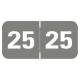 Arden Label TAYM-25-T4 Tabbies 70200 Compatible TAYM Series 2025 Year Labels - Size 3/4" H x 1 1/2" W