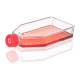 Globe Scientific TC-FLSK-182-V Diamond® SureGro™ Cell Culture Flask, Tissue Culture Treated with Vent Cap - 182 cm²