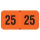 Arden Label TRYM-25-T4 Traco Compatible TRYM Series 2025 Year Labels - Size 3/4" H x 1 1/2" W