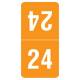 Arden Label TTPK-24 2024 Top-Tab Year Labels - Smead Compatible TTPK Series- Size 1" H x 1/2" W