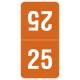 Arden Label TTPK-25 Smead Compatible TTPK Series 2025 Top-Tab Year Labels - Size 1" H x 1/2" W