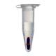 A Microtube with beads separated from the liquid, after magnetic bead separation (Microtube is Sold Separately)