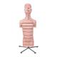 3B Scientific VA20 MRI Torso 15 Transverse Sections - 3B Smart Anatomy