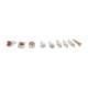3B Scientific VE290 Advanced Half Lower Jaw with 8 Diseased Teeth 19-Part - 3B Smart Anatomy