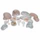 3B Scientific VH409 Giant Brain Model 14-Part 2.5 Times Full-Size - 3B Smart Anatomy