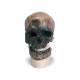 3B Scientific VP752-1 Anthropological Skull Model - Cro-Magnon
