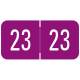 2023 Year Labels - VRE / GBS Compatible - Size 3/4" H x 1 1/2" W