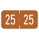 Arden Label VRYM-25-T4 VRE / GBS Compatible VRYM Series 2025 Year Labels - Size 3/4" H x 1 1/2" W