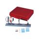 3B Scientific W11851 Physical Eye Model