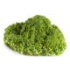 Life/form Broccoli Food Replica - 1/4 cup (60 ml)