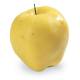 Life/form Apple Food Replica - Golden Delicious