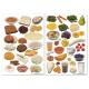 Food Cling Set I