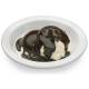 Life/form Hot Fudge Sundae Food Replica