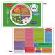 Life/form MyPlate TearPad/Place Mats - 17 x 11 - 50 Sheets