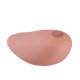 Replacement Breast For P125 Sonotrain Breast Model With Tumours