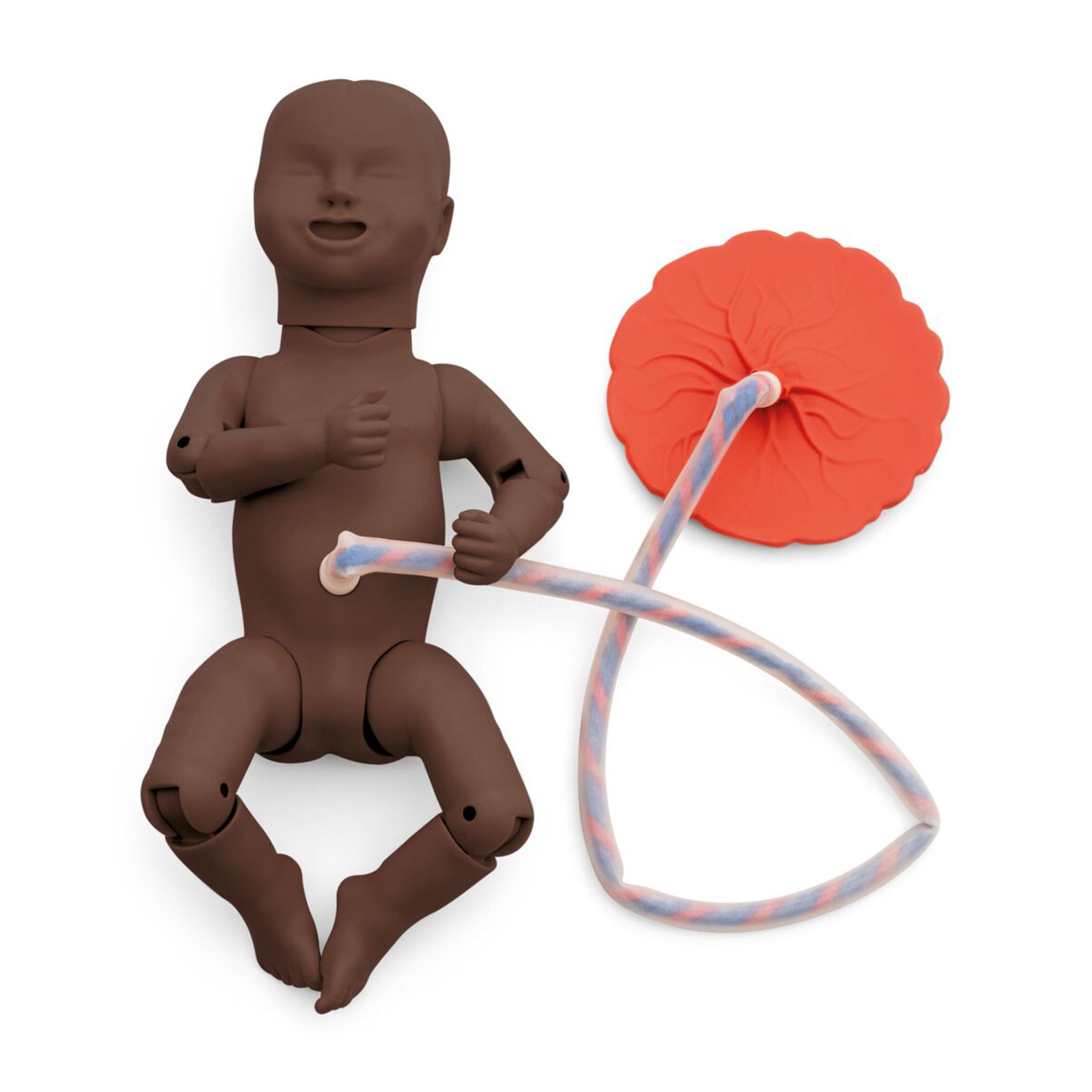 3B Scientific Birthing Simulator Basic