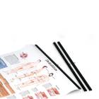 3B Scientific 1002372 Black Plastic Rod for Anatomical Charts - 50 cm (Charts are sold separately)