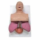 Simulaids Adult Airway Management Trainer with Board